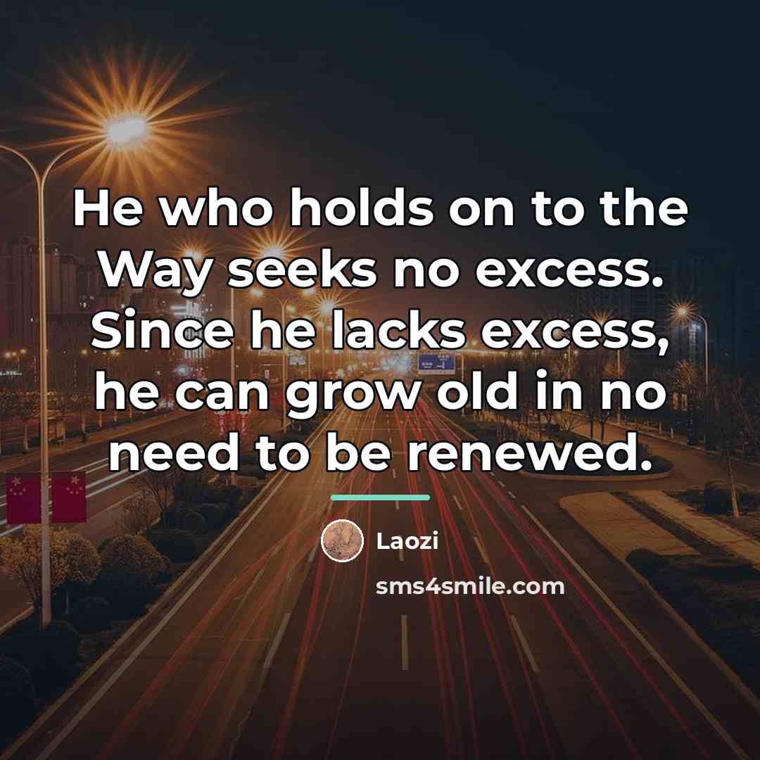 “He who holds on to the Way seeks no excess.…” quote by Laozi
