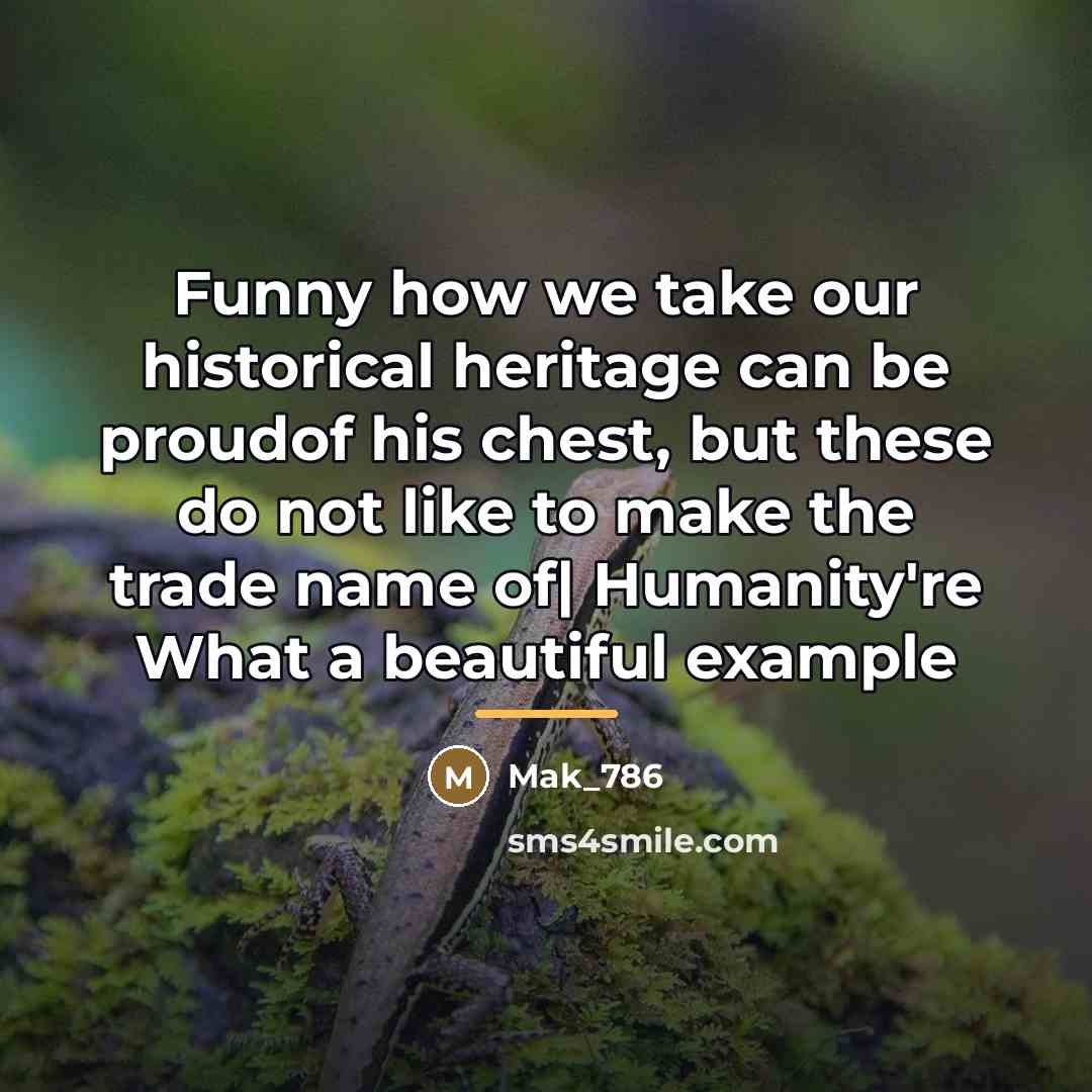 “Funny how we take our historical heritage can be proudof…” quote by Mak_786