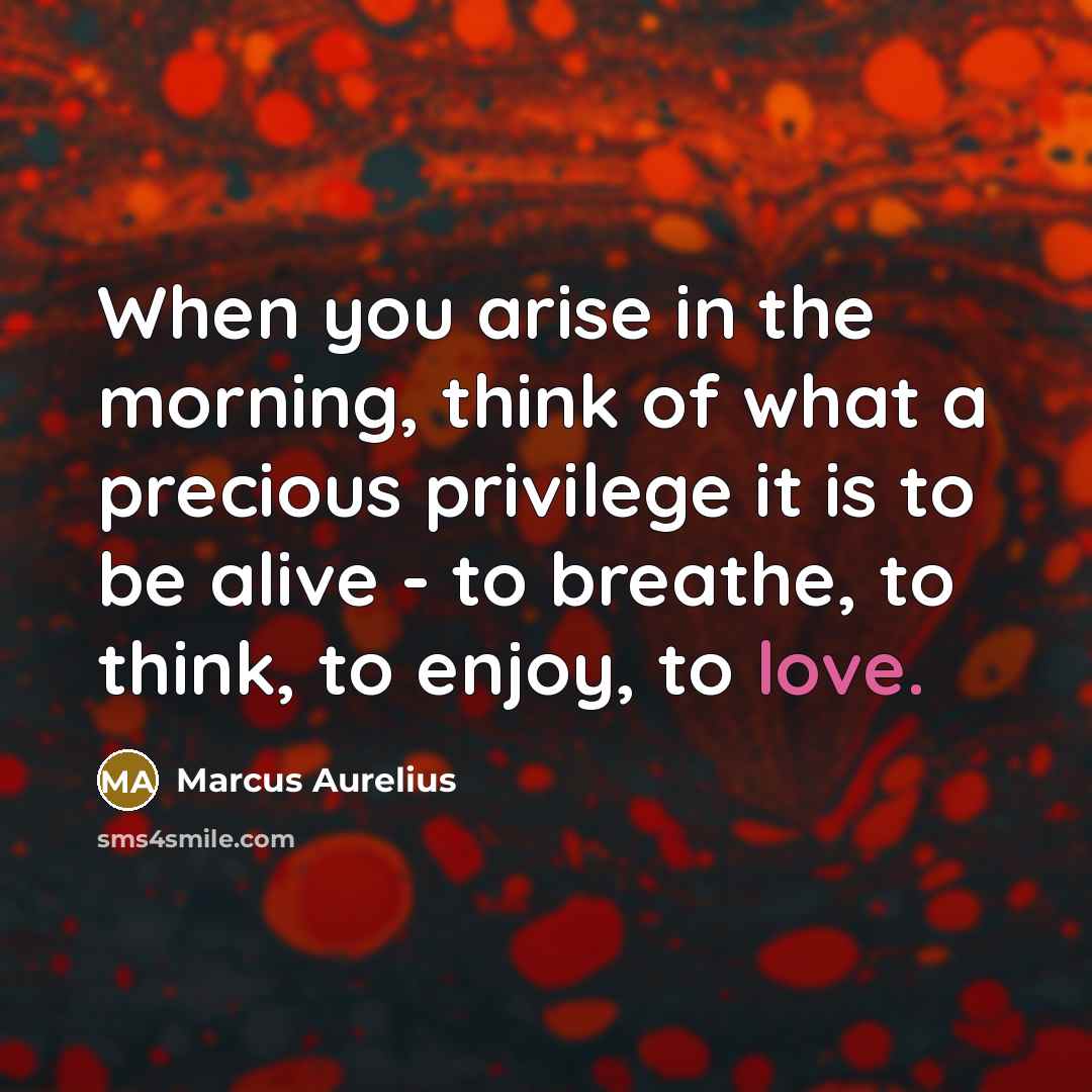 “When you arise in the morning, think of what a…” quote by Marcus Aurelius