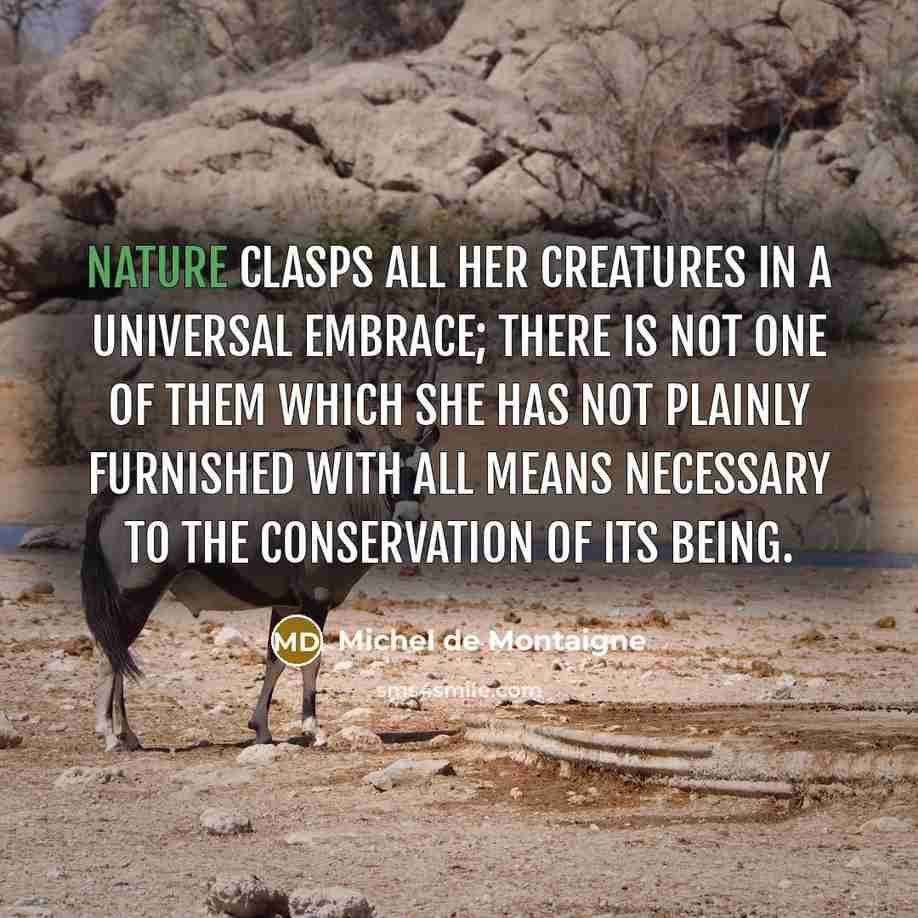 “Nature clasps all her creatures in a universal embrace; there…” quote by Michel de Montaigne