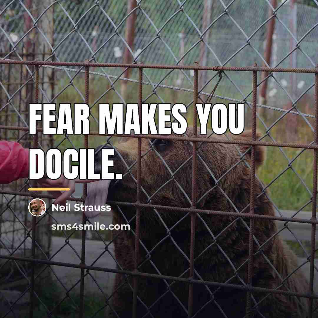 “Fear makes you docile.…” quote by Neil Strauss