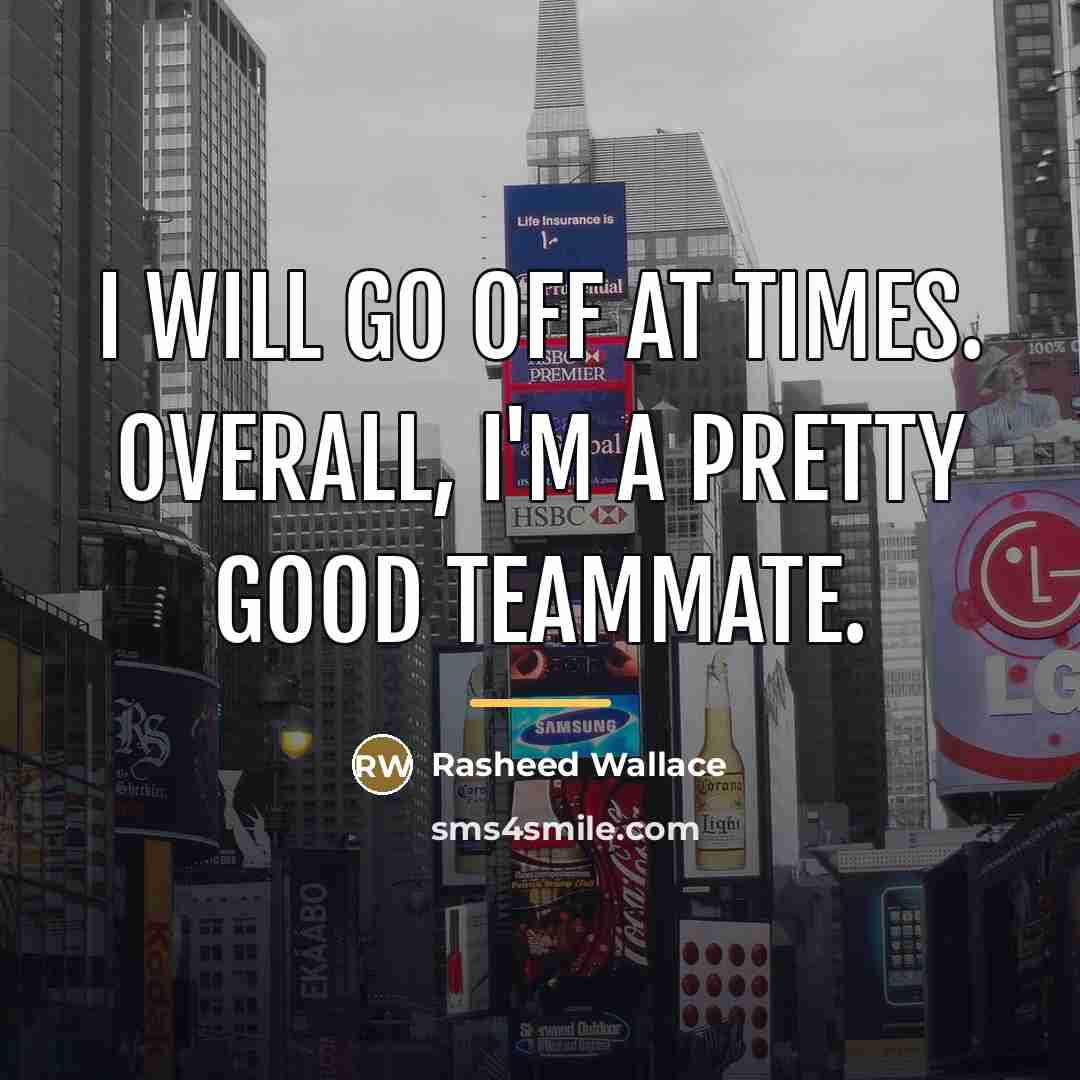 “I will go off at times. Overall, I'm a pretty…” quote by Rasheed Wallace