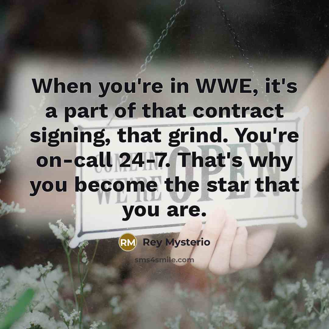 “When you're in WWE, it's a part of that contract…” quote by Rey Mysterio