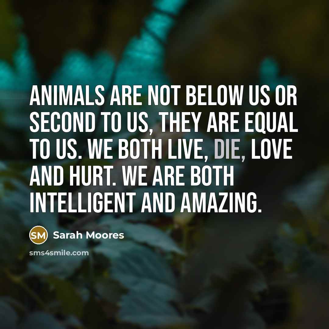 “Animals are not below us or second to us, they…” quote by Sarah Moores