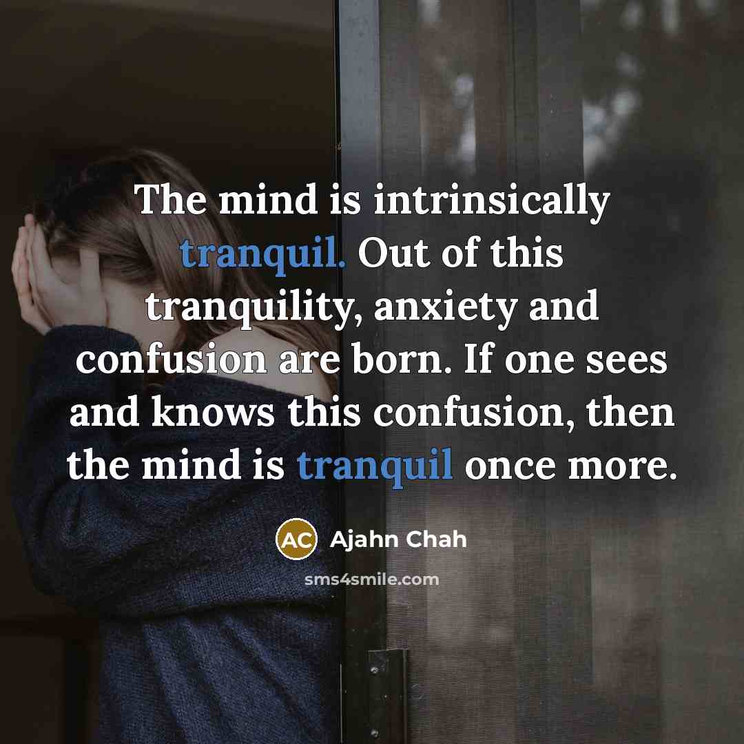 “The mind is intrinsically tranquil. Out of this tranquility, anxiety…” quote by Ajahn Chah