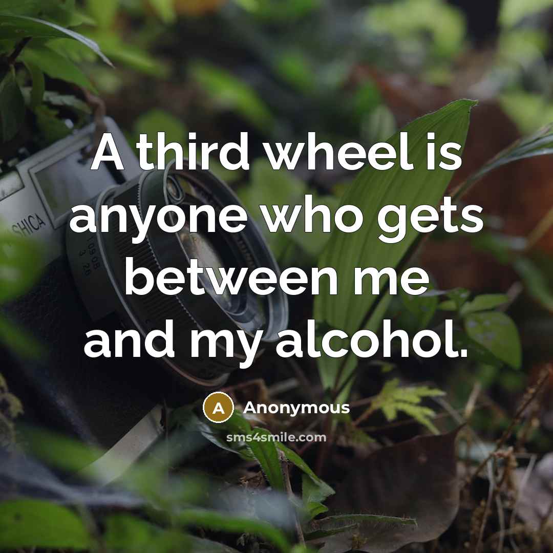 “A third wheel is anyone who gets between me and my alcohol.” quote by Anonymous