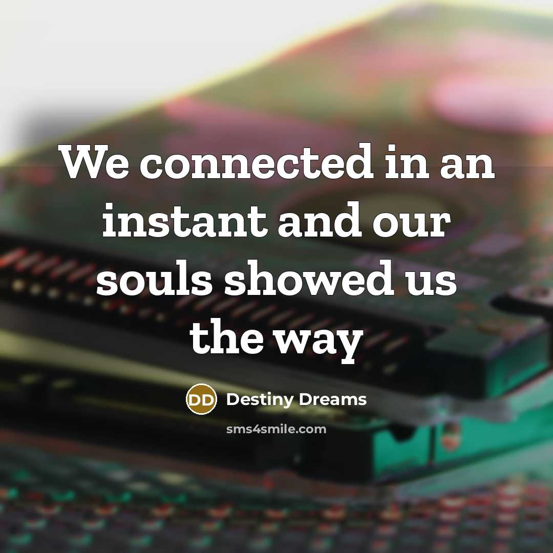 “We connected in an instant and our souls showed us…” quote by Destiny Dreams