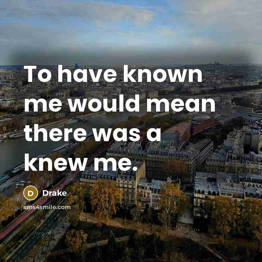 “To have known me would mean there was a knew me.” quote by Drake
