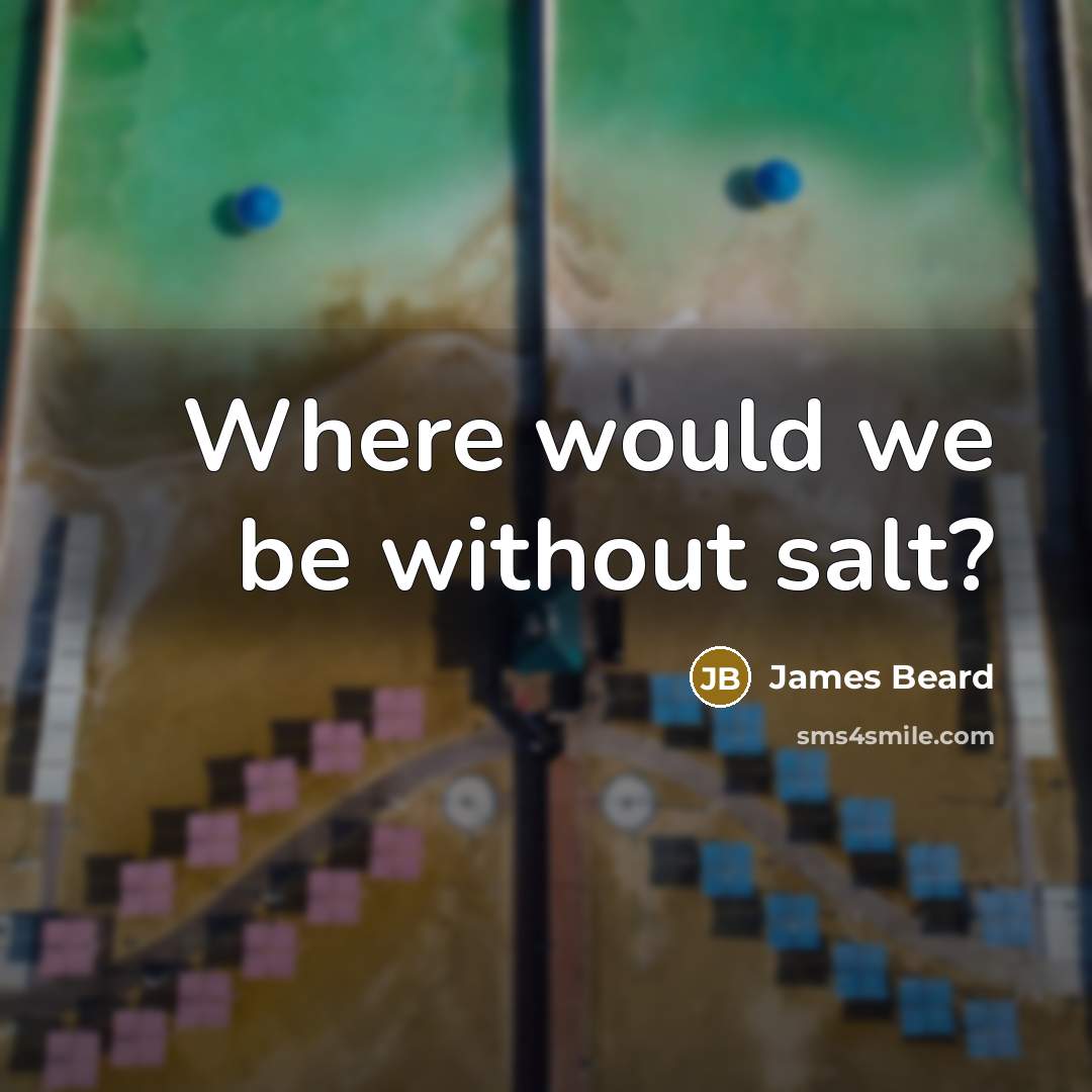 “Where would we be without salt?…” quote by James Beard