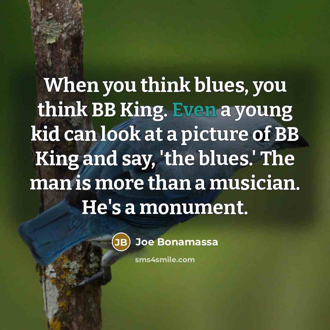 “When you think blues, you think BB King. Even a young kid can look at a picture of BB King and say, 'the blues.' The man is more than a musician. He's a monument.” quote by Joe Bonamassa