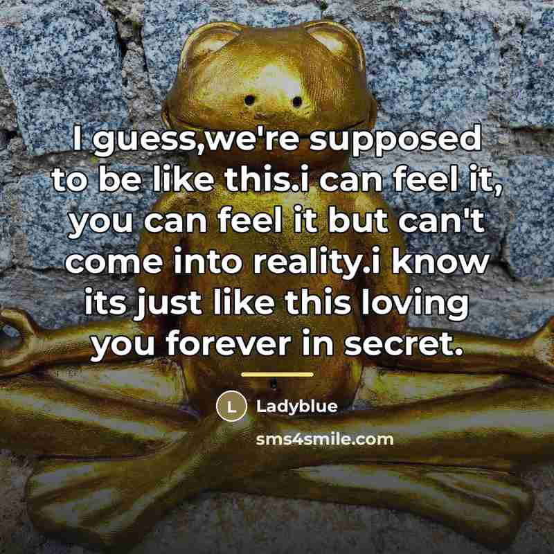 “I guess,we're supposed to be like this.i can feel it,…” quote by Ladyblue