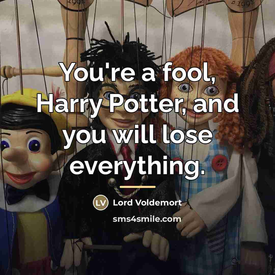 “You're a fool, Harry Potter, and you will lose everything.…” quote by Lord Voldemort
