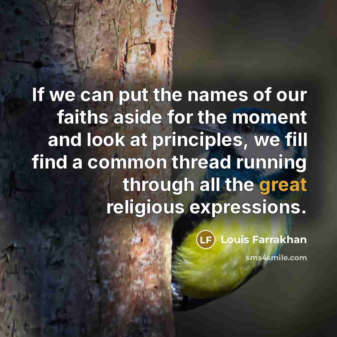 “If we can put the names of our faiths aside…” quote by Louis Farrakhan