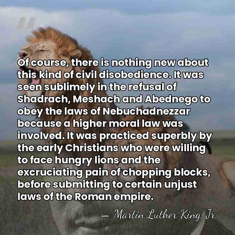 Of course, there is nothing new about this kind of civil disobedience.&hellip; - Martin Luther King, Jr.