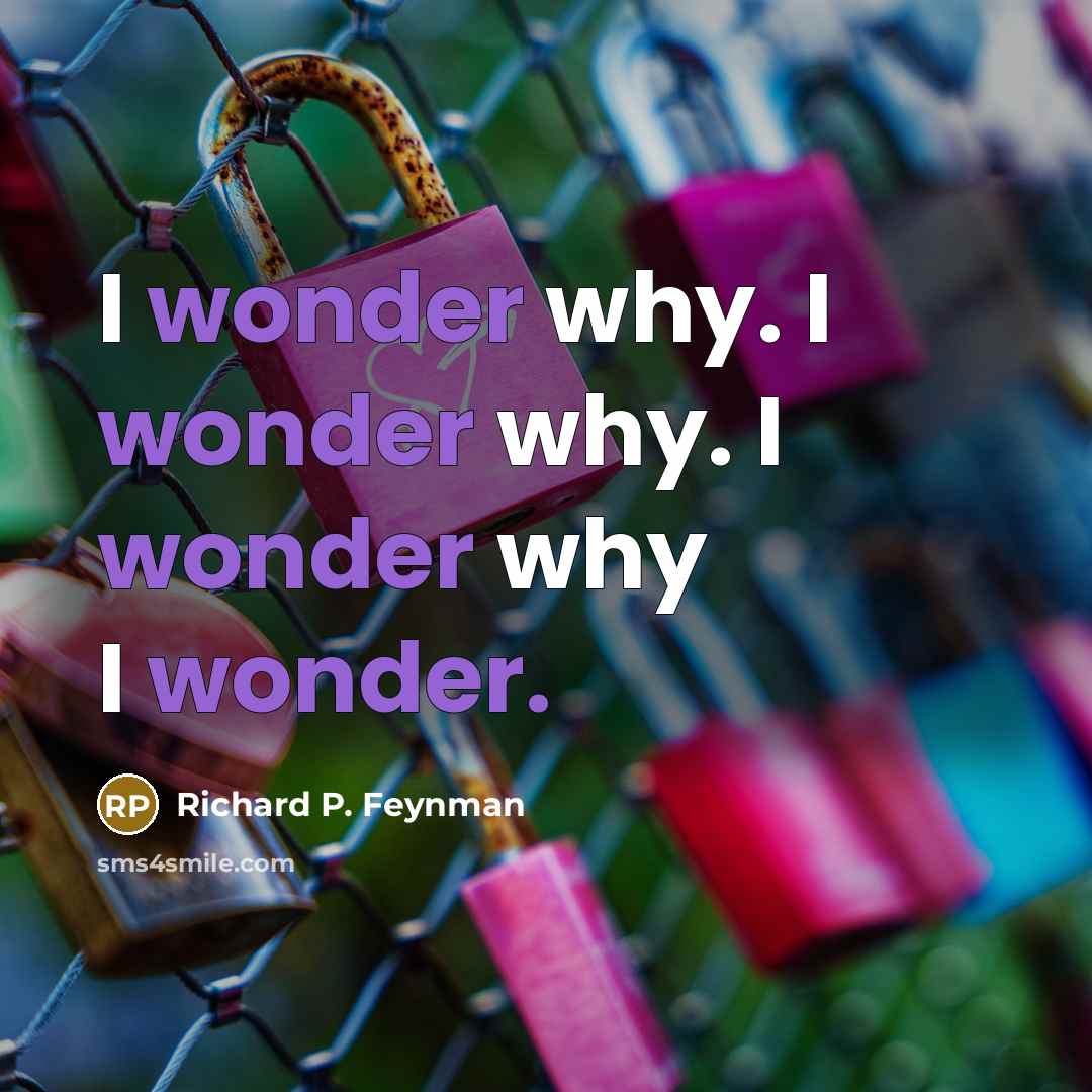 “I wonder why. I wonder why. I wonder why I…” quote by Richard P. Feynman