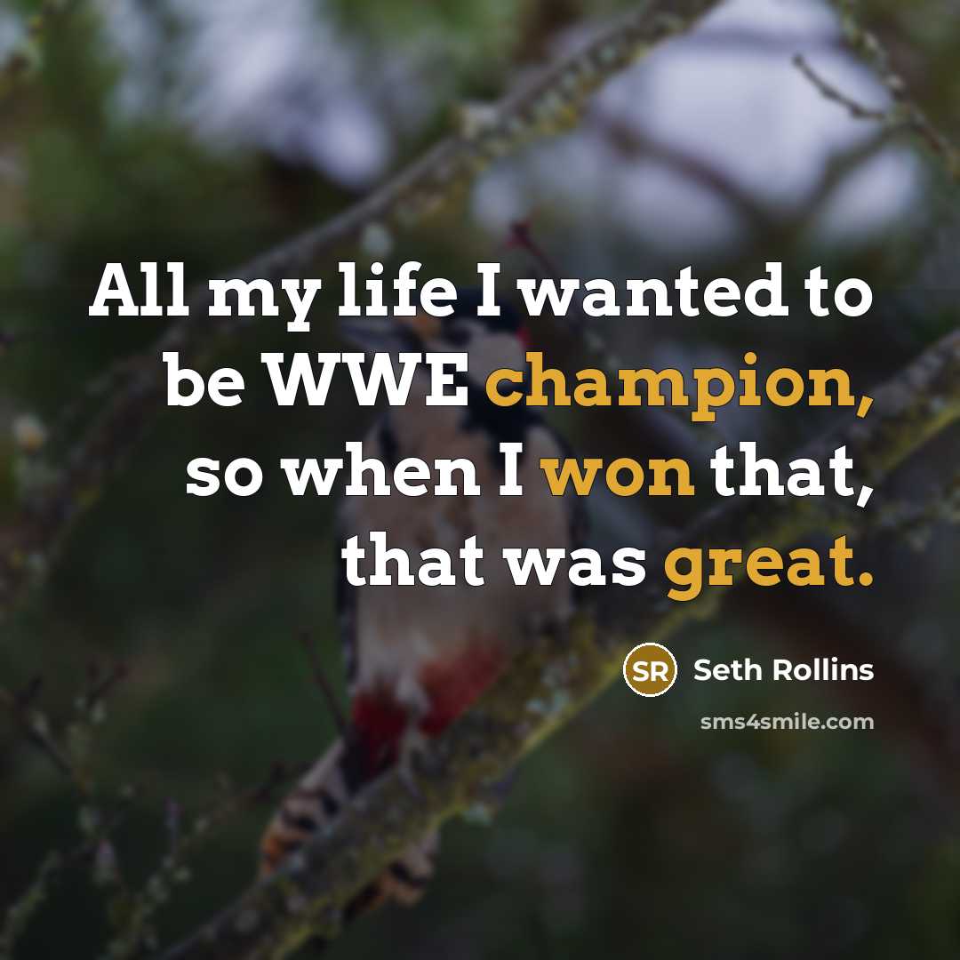 “All my life I wanted to be WWE champion, so…” quote by Seth Rollins