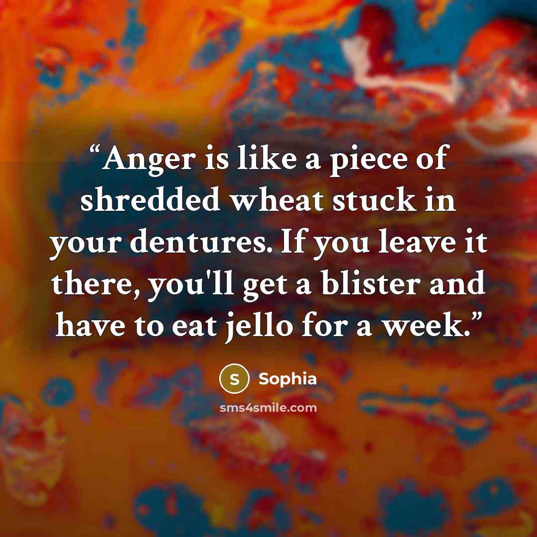 “Anger is like a piece of shredded wheat stuck in your dentures. If you leave it there, you'll get a blister and have to eat jello for a week.” quote by Sophia