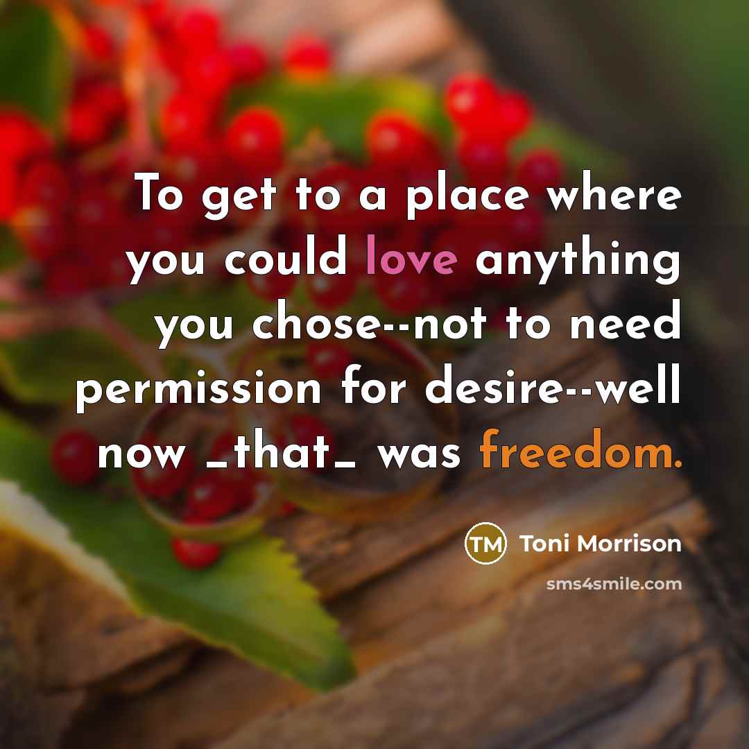 “To get to a place where you could love anything…” quote by Toni Morrison