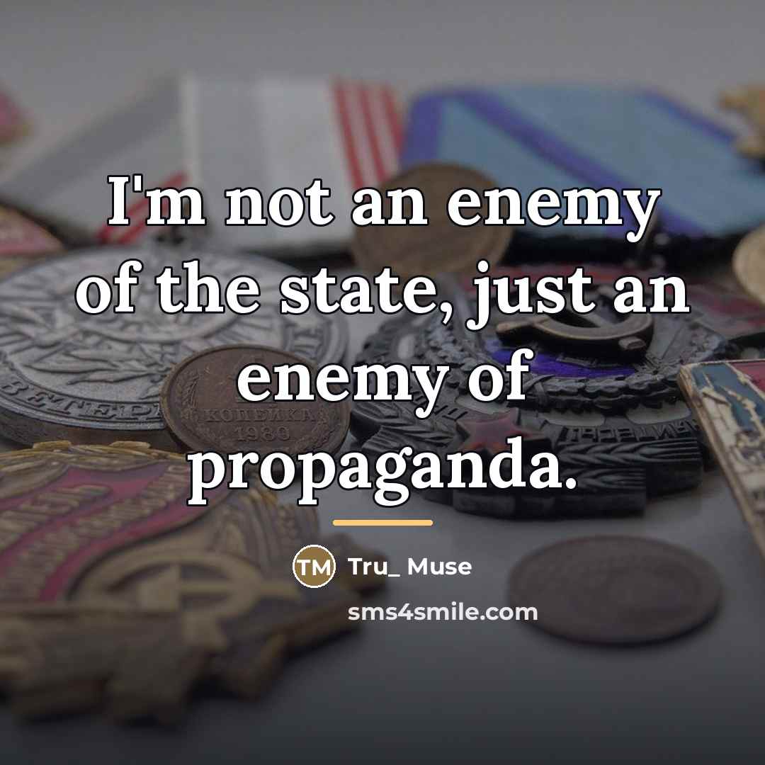 “I'm not an enemy of the state, just an enemy…” quote by Tru_ Muse