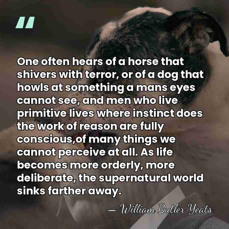 One often hears of a horse that shivers with terror, or of&hellip; - William Butler Yeats