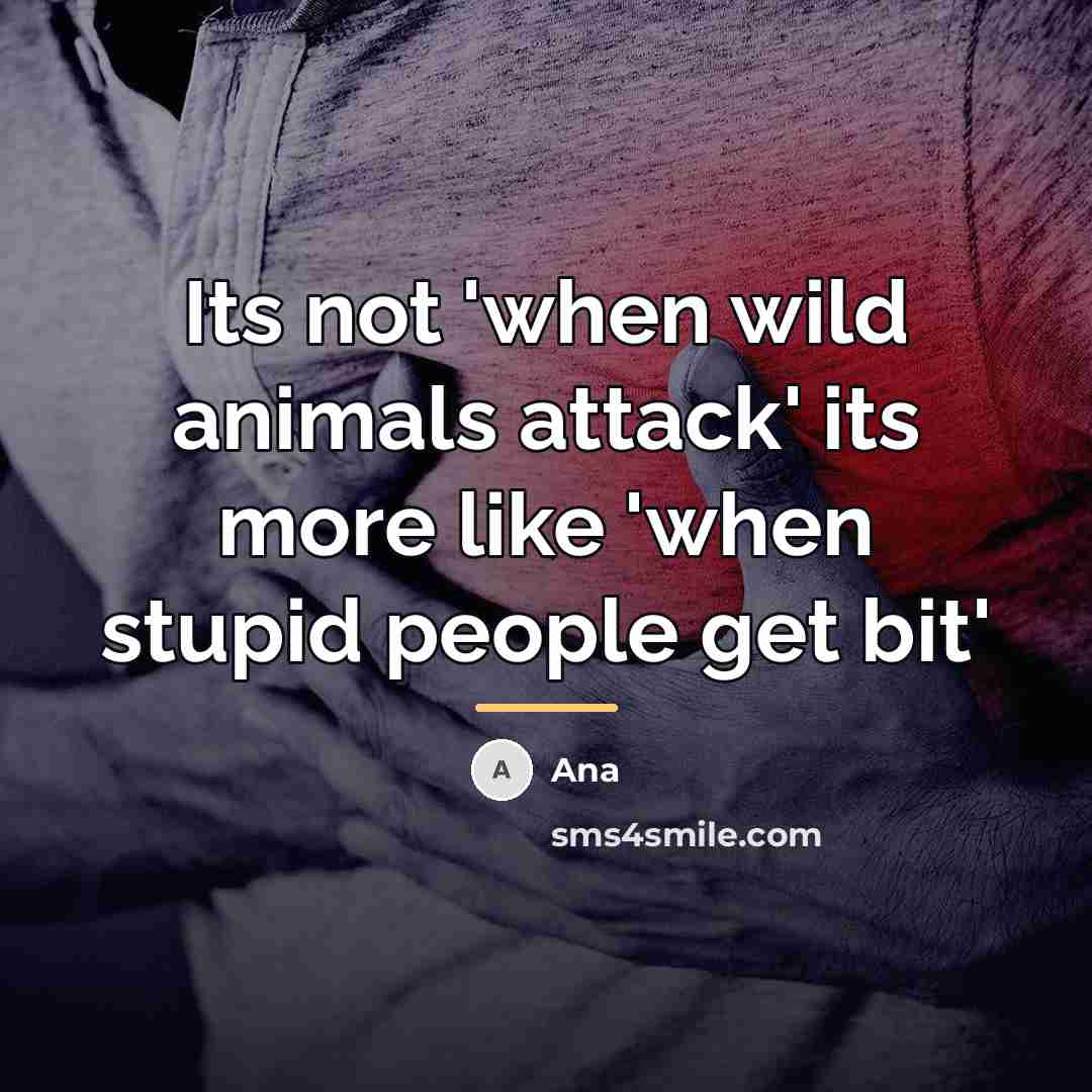 “Its not 'when wild animals attack' its more like 'when…” quote by Ana