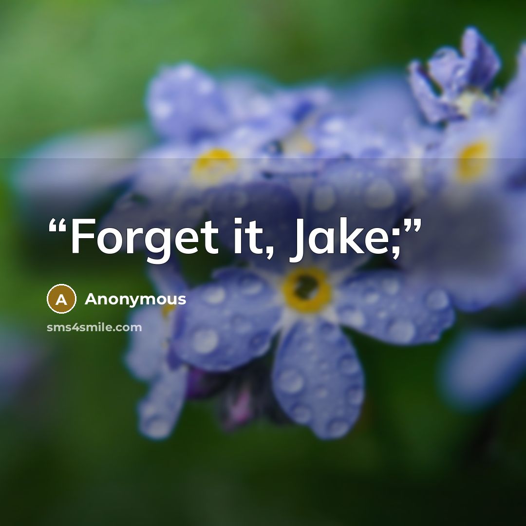 “Forget it, Jake;” quote by Anonymous
