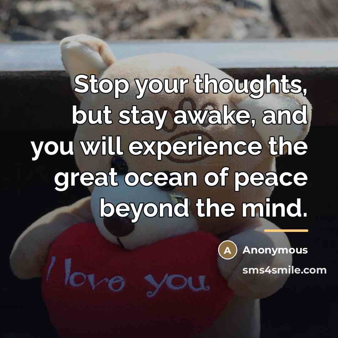 “Stop your thoughts, but stay awake, and you will experience…” quote by Anonymous