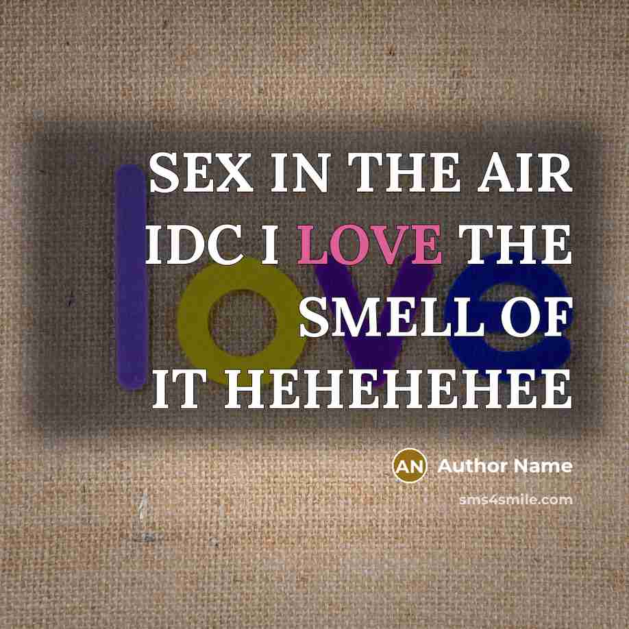 “SEX IN THE AIR IDC I LOVE THE SMELL OF IT HEHEHEHEE” quote by Author Name