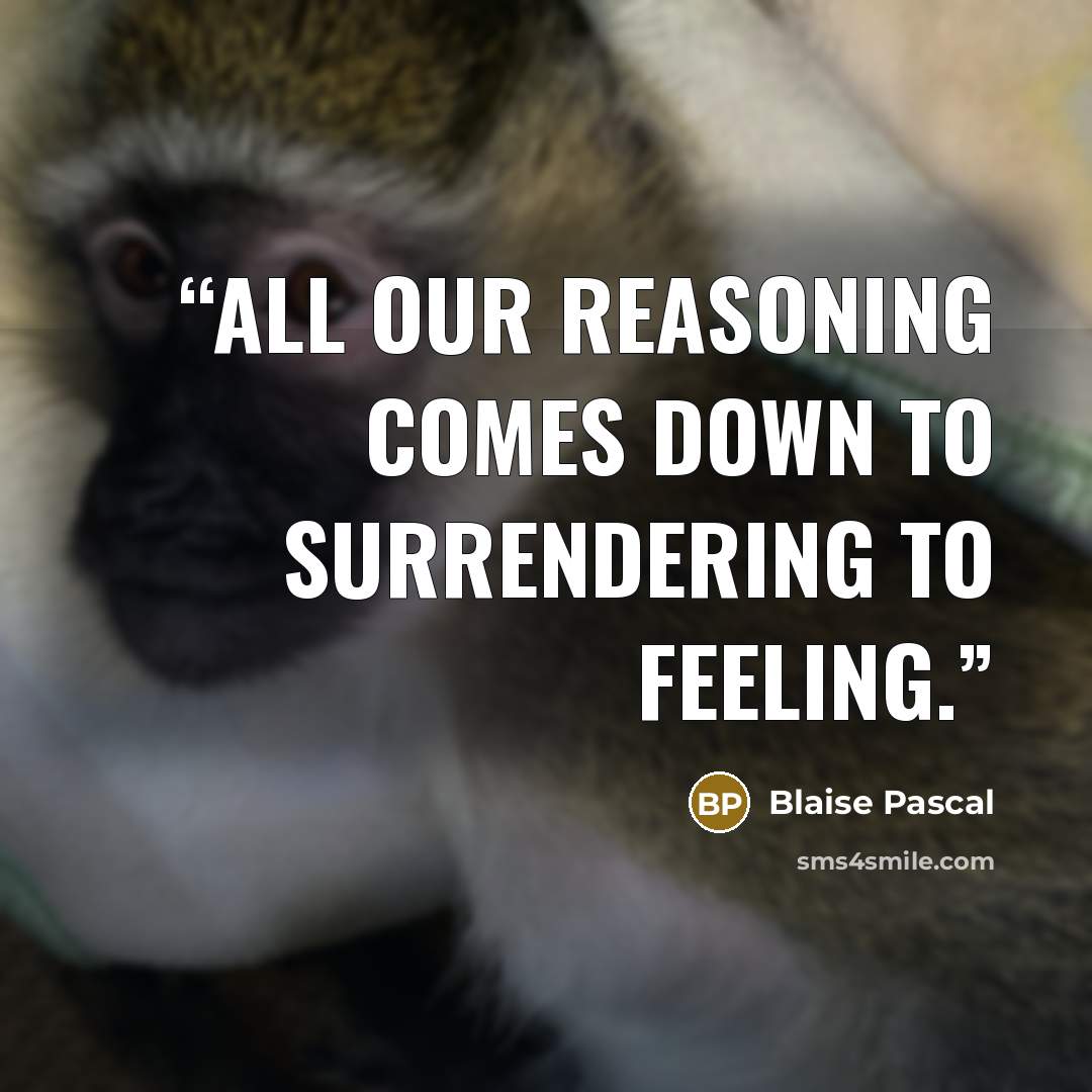 “All our reasoning comes down to surrendering to feeling.” quote by Blaise Pascal