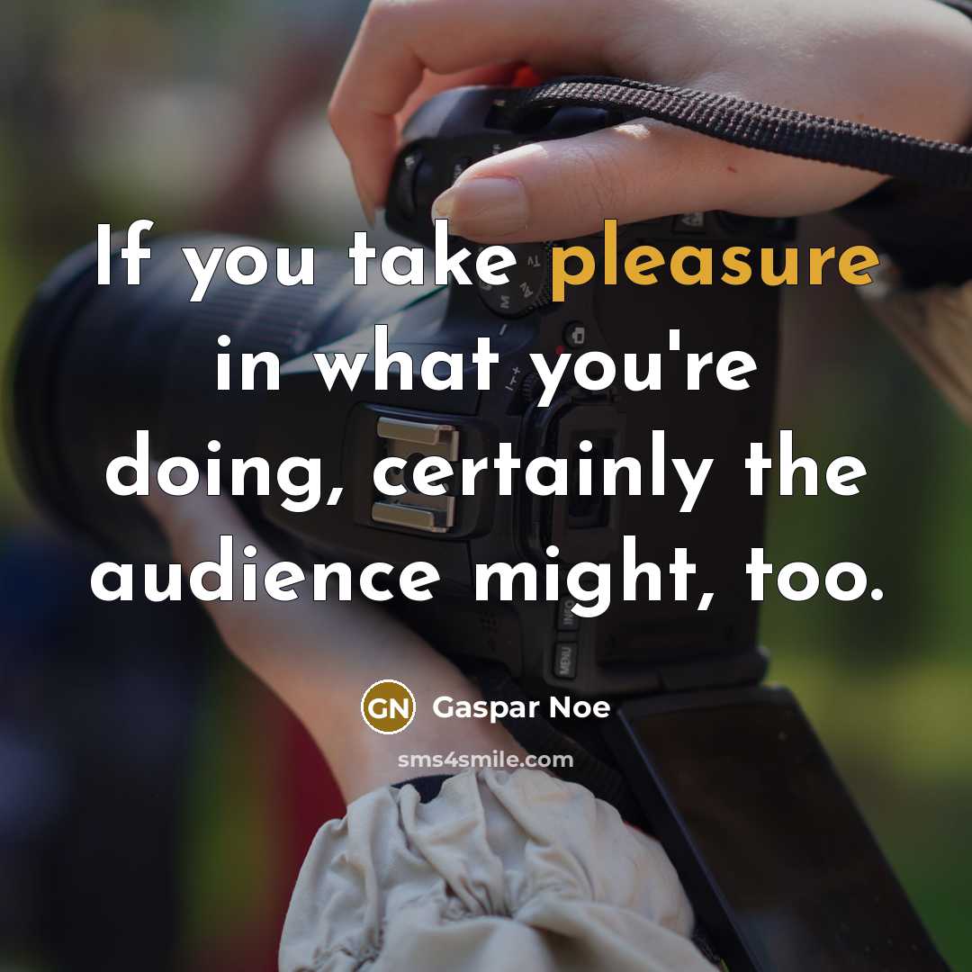 “If you take pleasure in what you're doing, certainly the…” quote by Gaspar Noe