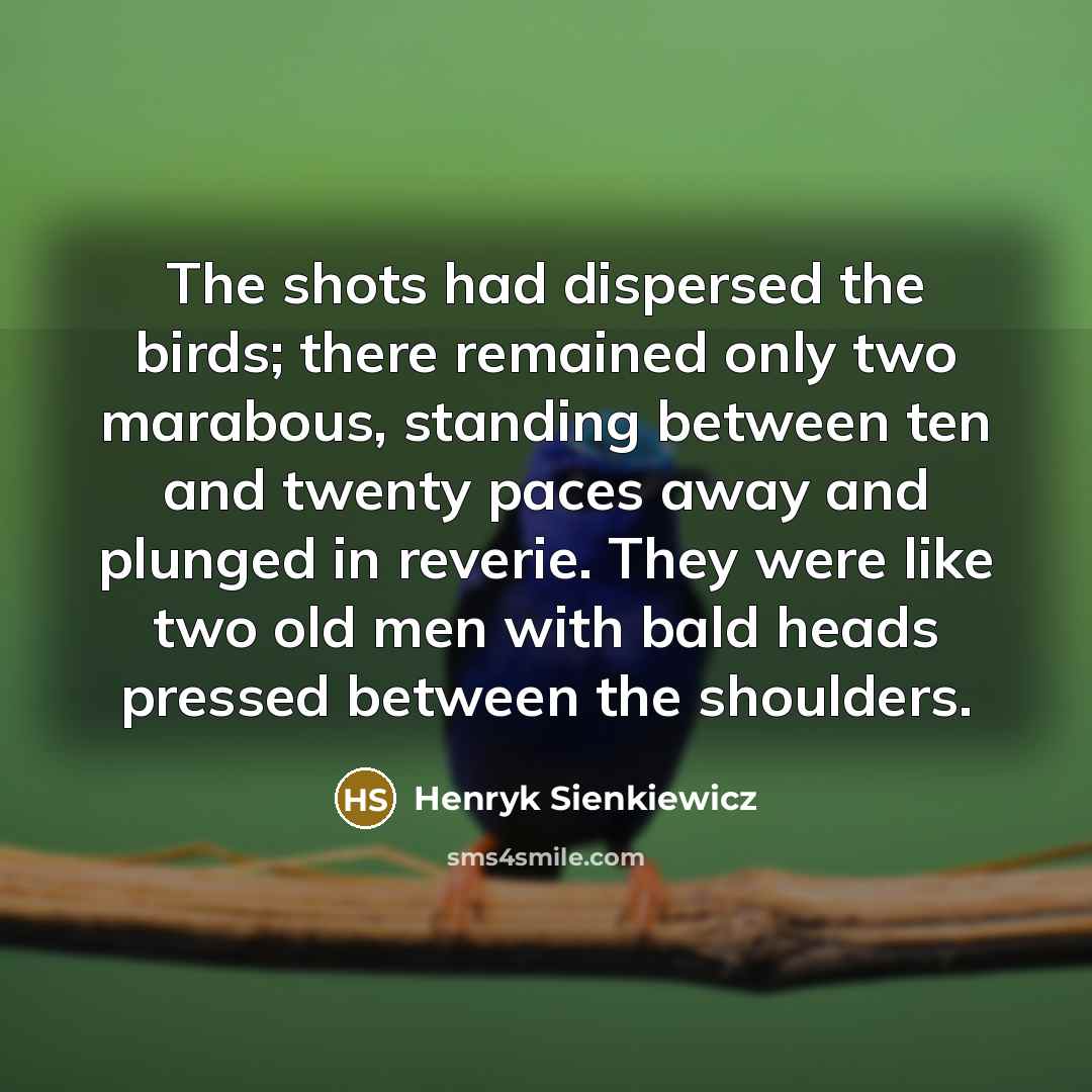 “The shots had dispersed the birds; there remained only two…” quote by Henryk Sienkiewicz