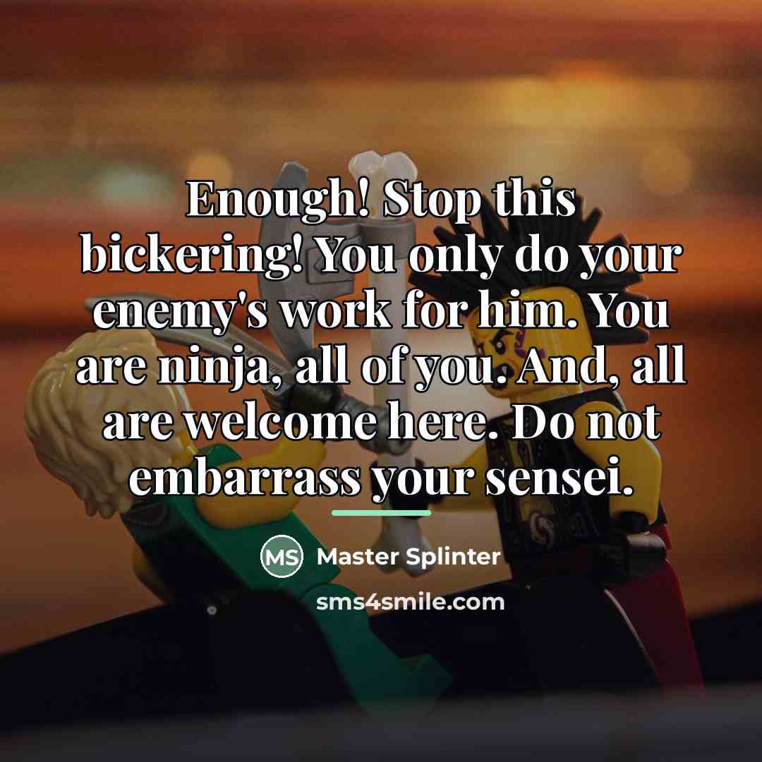 “Enough! Stop this bickering! You only do your enemy's work…” quote by Master Splinter