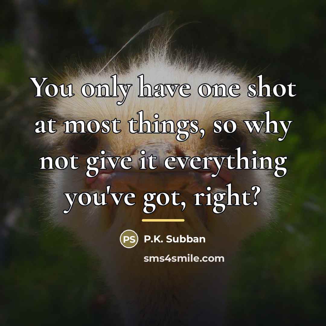 “You only have one shot at most things, so why…” quote by P.K. Subban