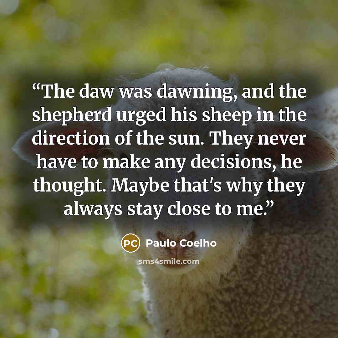 “The daw was dawning, and the shepherd urged his sheep in the direction of the sun. They never have to make any decisions, he thought. Maybe that's why they always stay close to me.” quote by Paulo Coelho