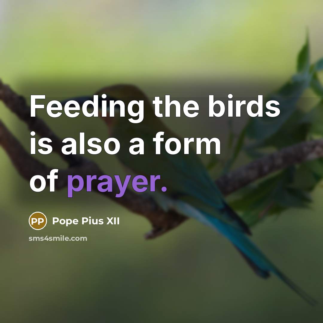 “Feeding the birds is also a form of prayer.…” quote by Pope Pius XII