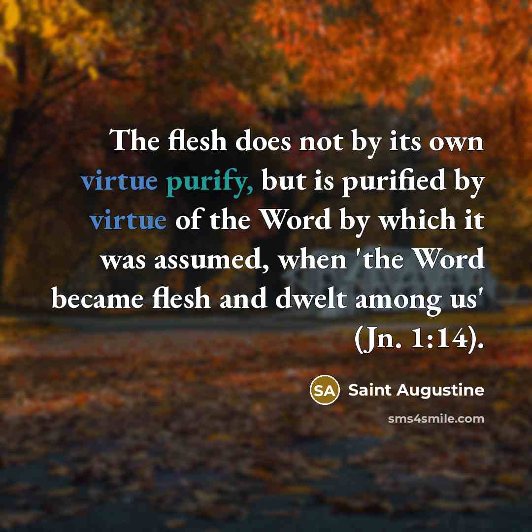 “The flesh does not by its own virtue purify, but…” quote by Saint Augustine
