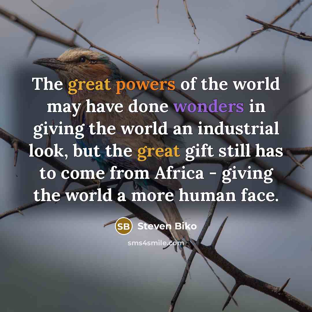 “The great powers of the world may have done wonders in giving the world an industrial look, but the great gift still has to come from Africa - giving the world a more human face.” quote by Steven Biko