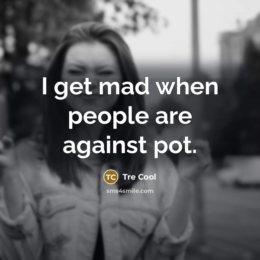 “I get mad when people are against pot.…” quote by Tre Cool
