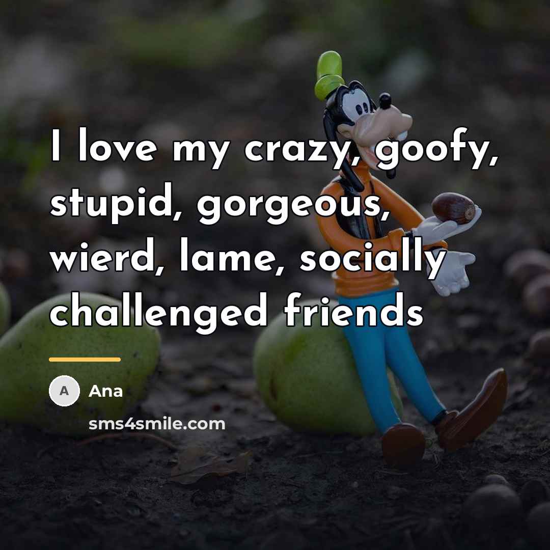 “I love my crazy, goofy, stupid, gorgeous, wierd, lame, socially…” quote by Ana