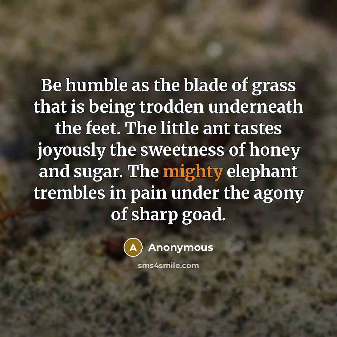 “Be humble as the blade of grass that is being…” quote by Anonymous