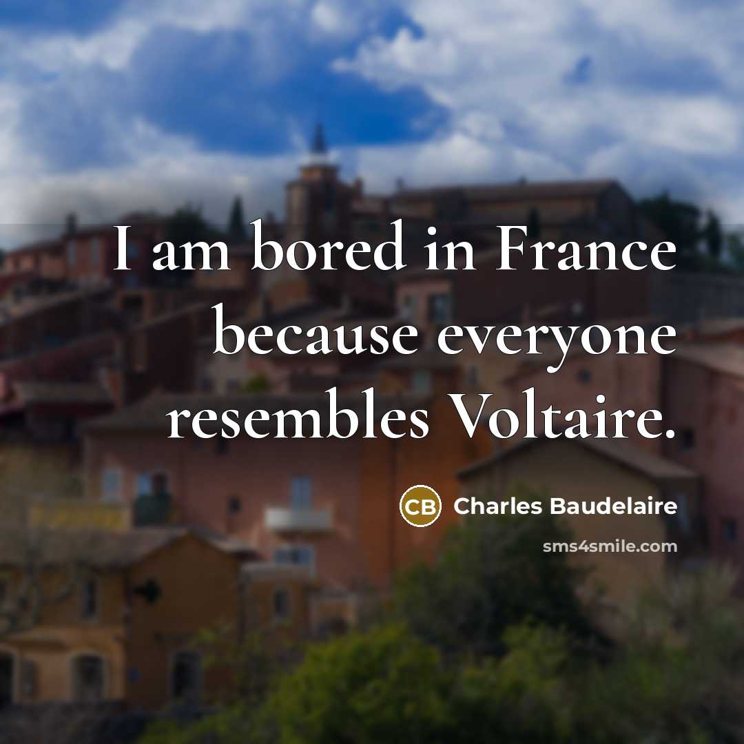 “I am bored in France because everyone resembles Voltaire.…” quote by Charles Baudelaire