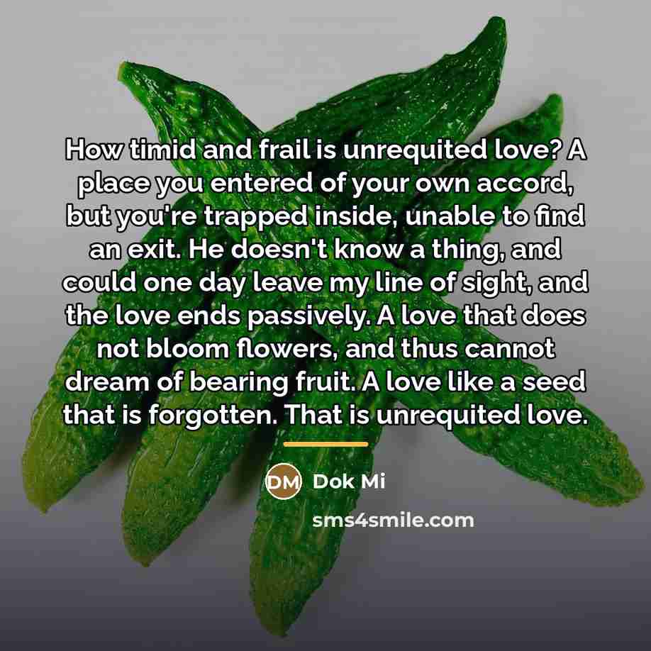 “How timid and frail is unrequited love? A place you…” quote by Dok Mi