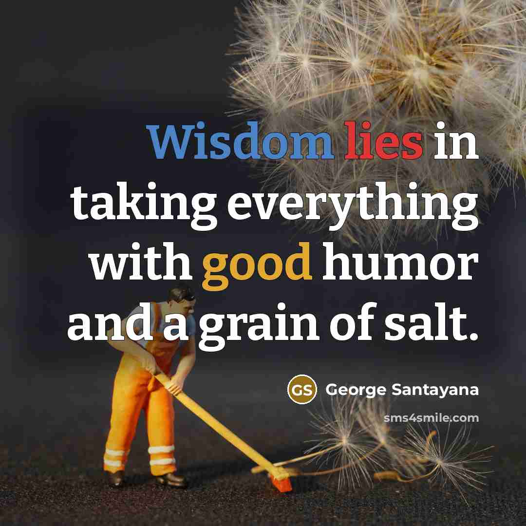 “Wisdom lies in taking everything with good humor and a grain of salt.” quote by George Santayana