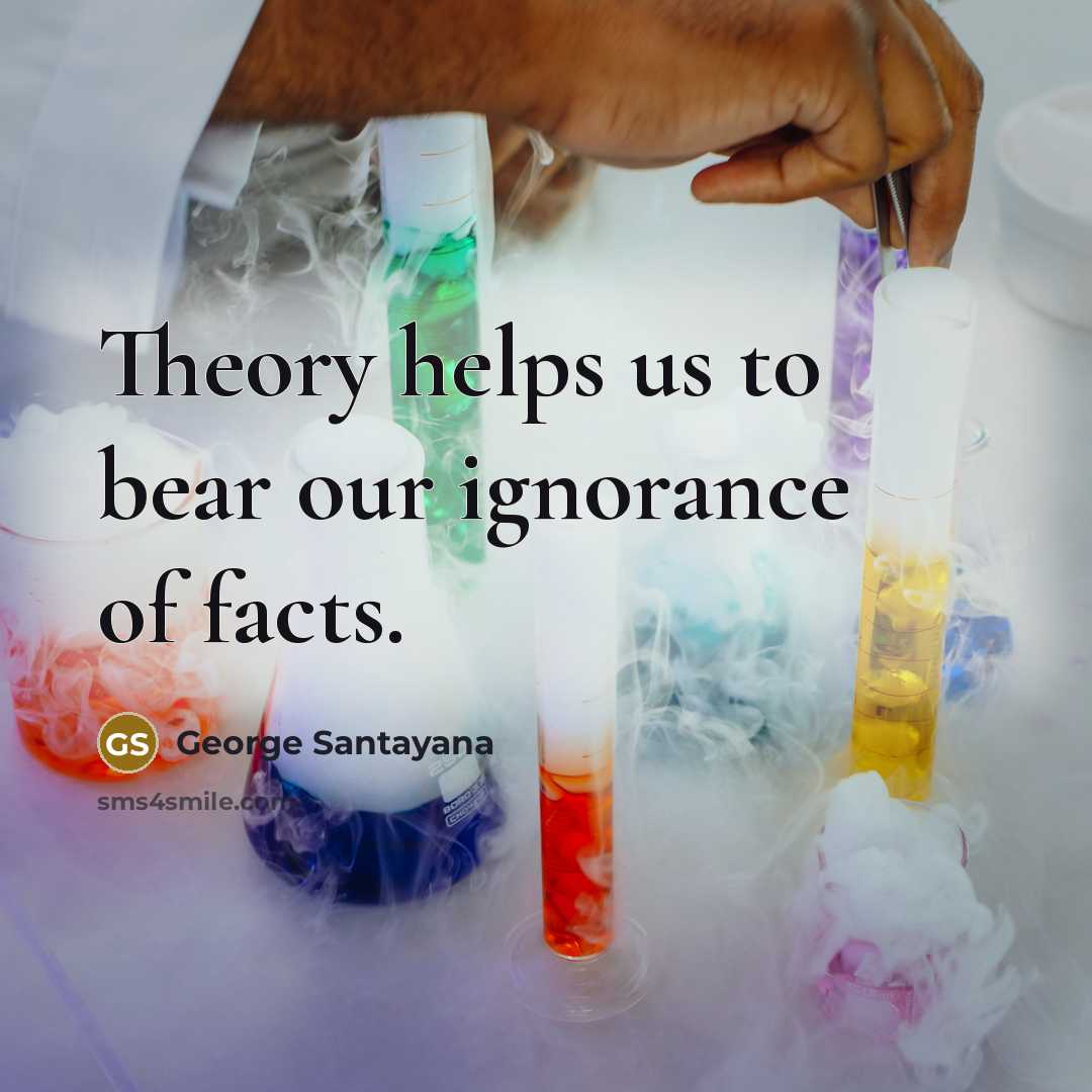 “Theory helps us to bear our ignorance of facts.…” quote by George Santayana