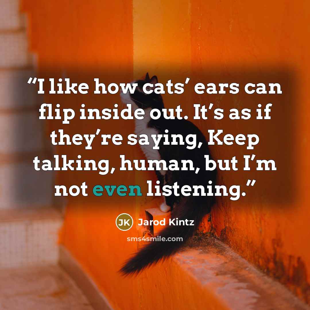 “I like how cats’ ears can flip inside out. It’s as if they’re saying, Keep talking, human, but I’m not even listening.” quote by Jarod Kintz