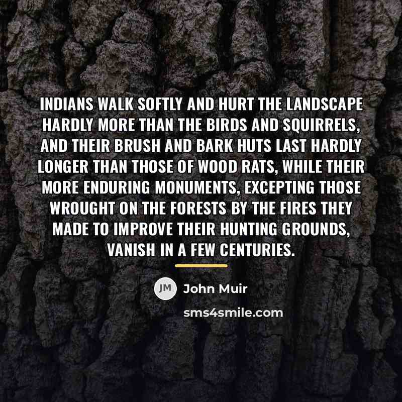 “Indians walk softly and hurt the landscape hardly more than…” quote by John Muir