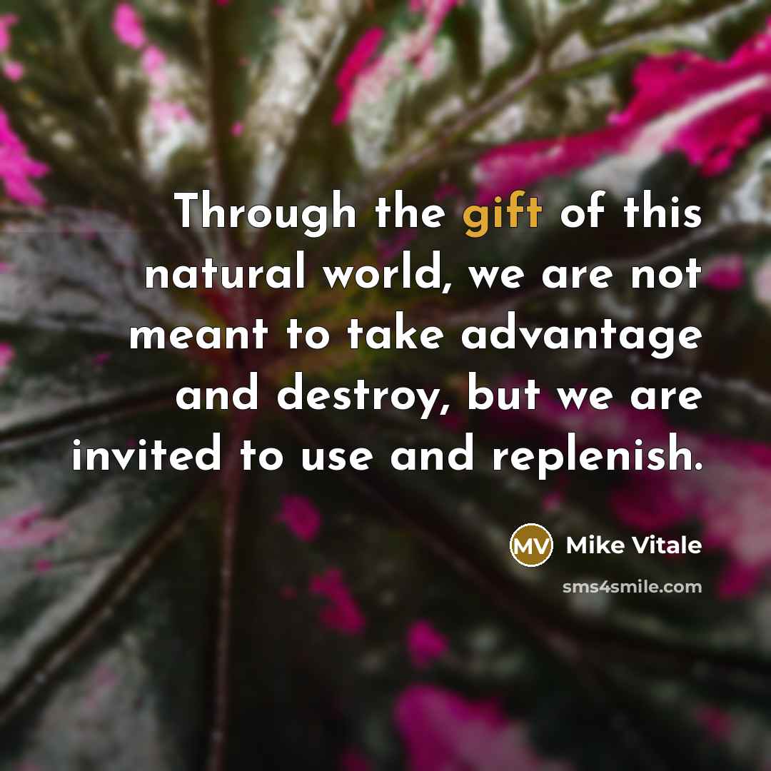 “Through the gift of this natural world, we are not…” quote by Mike Vitale