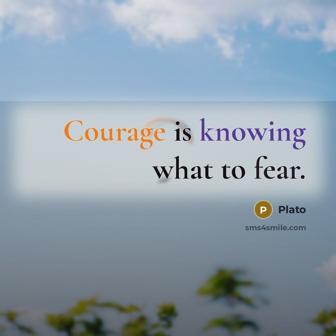 “Courage is knowing what to fear.…” quote by Plato