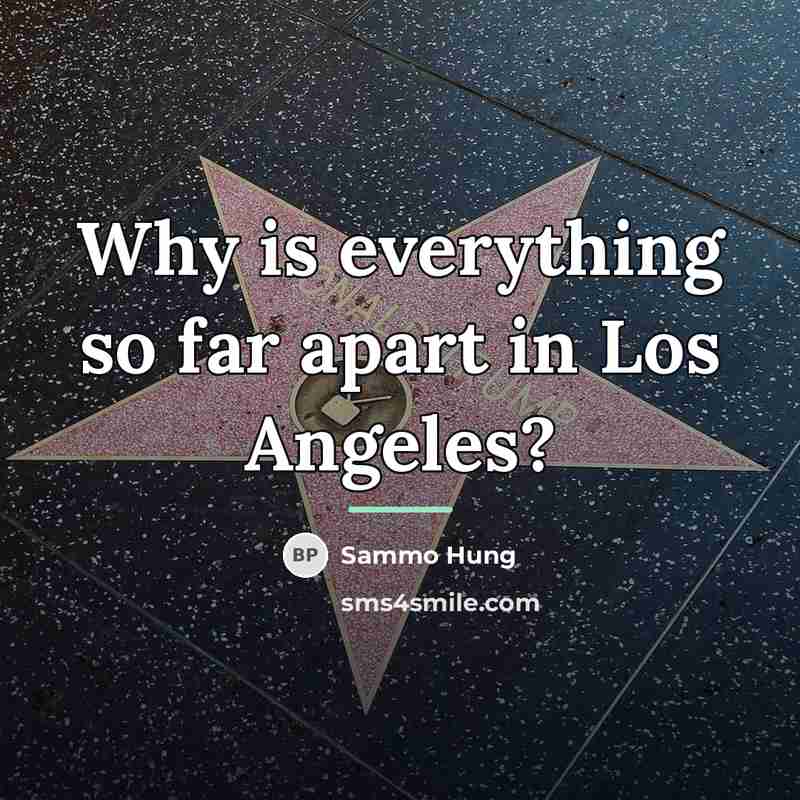 “Why is everything so far apart in Los Angeles?…” quote by Sammo Hung