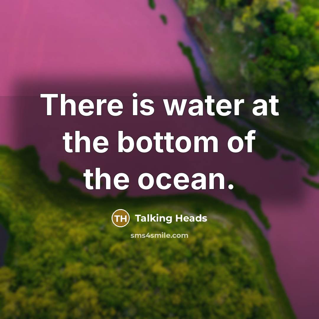 “There is water at the bottom of the ocean.” quote by Talking Heads